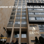 Cómo Obtener El Rut Por Cédula: Guía Paso A Paso