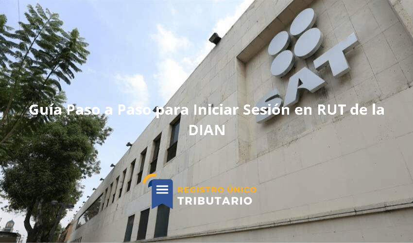 Guía Paso A Paso Para Iniciar Sesión En Rut De La Dian